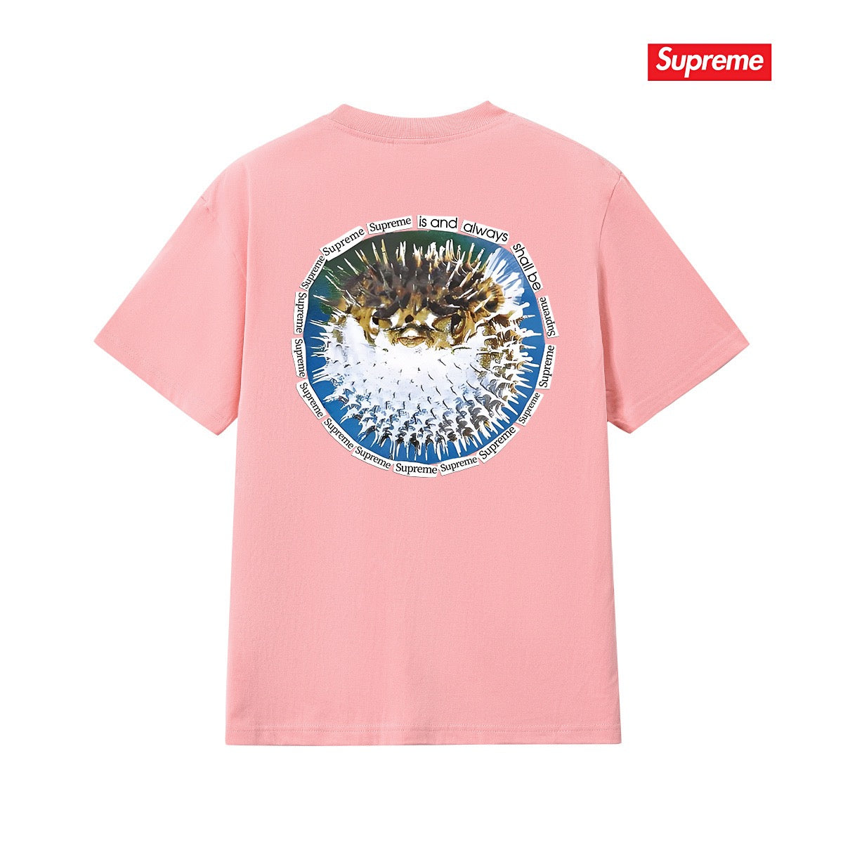 Supreme Tee S268