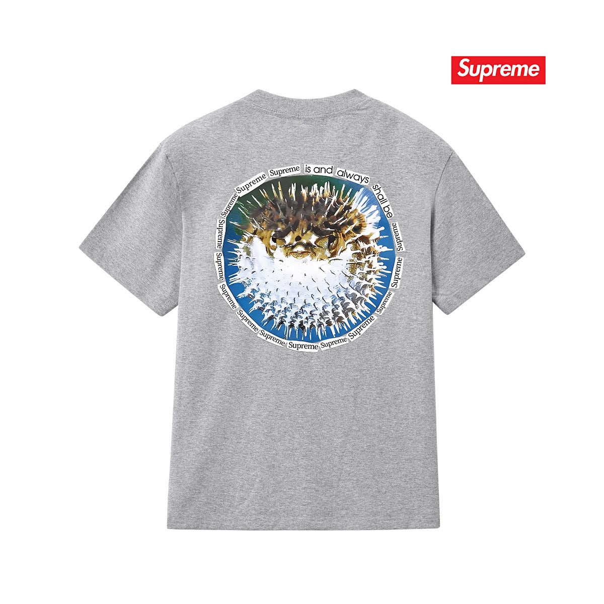 Supreme Tee S268
